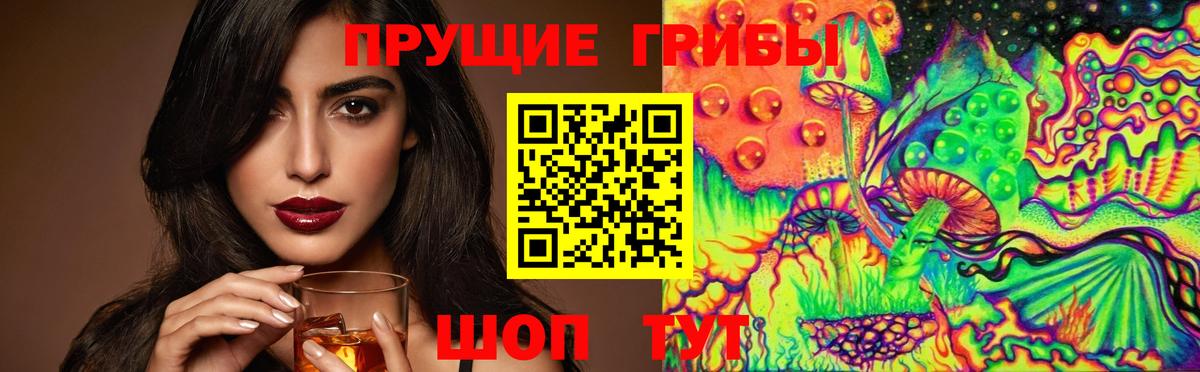 Псилоцибиновые грибы мухоморы Гатчина