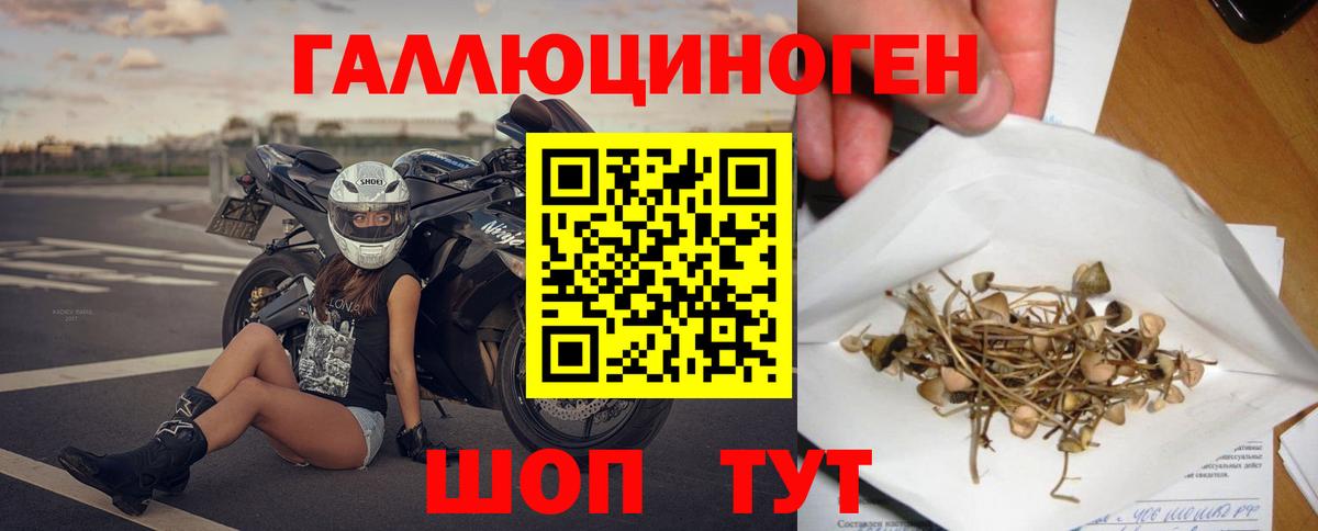Гатчина  Галлюциногенные грибы мухоморы  Псилоцибиновые грибы мицелий  Вход с VPN 